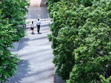 Environment and Climate